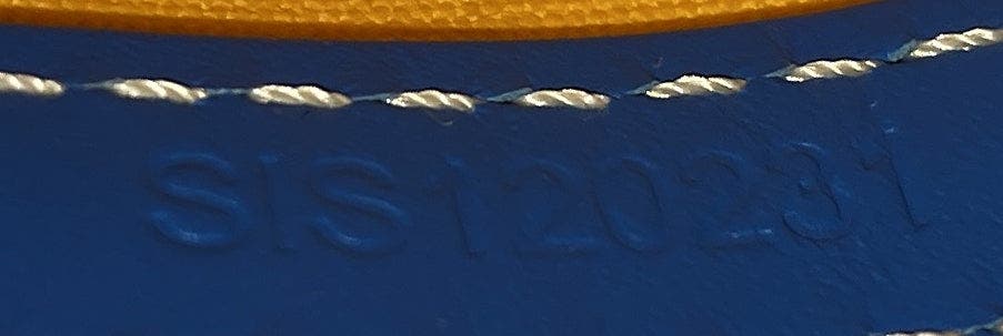 Pre-Owned Goyard Cap Vert Bag Coated Canvas, Alternate, color, Blue