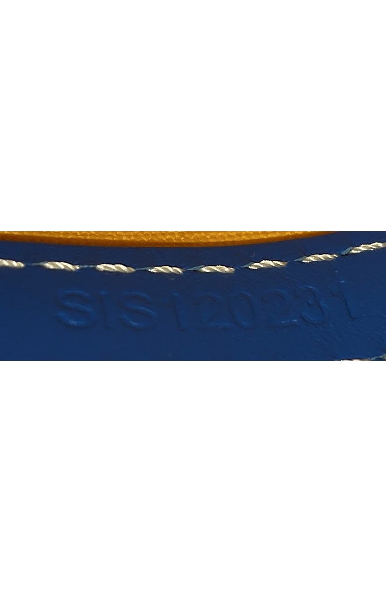 Pre-Owned Goyard Cap Vert Bag Coated Canvas, Alternate, color, Blue