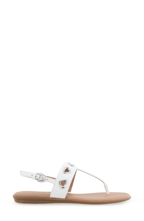 AEROSOLES AEROSOLES IAGO SLINGBACK SANDAL 