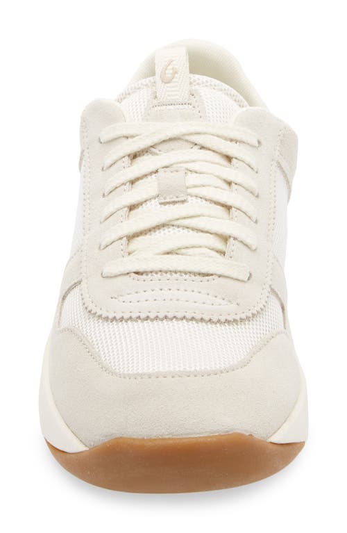 Olukai Kaulele Sneaker In Multi
