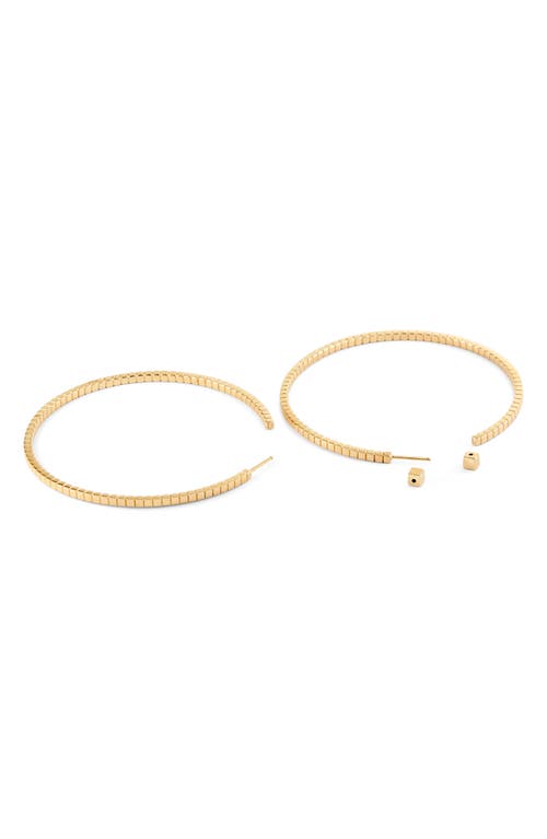 Ivi Los Angeles Large Signore Hoop Earrings In Yellow Gold