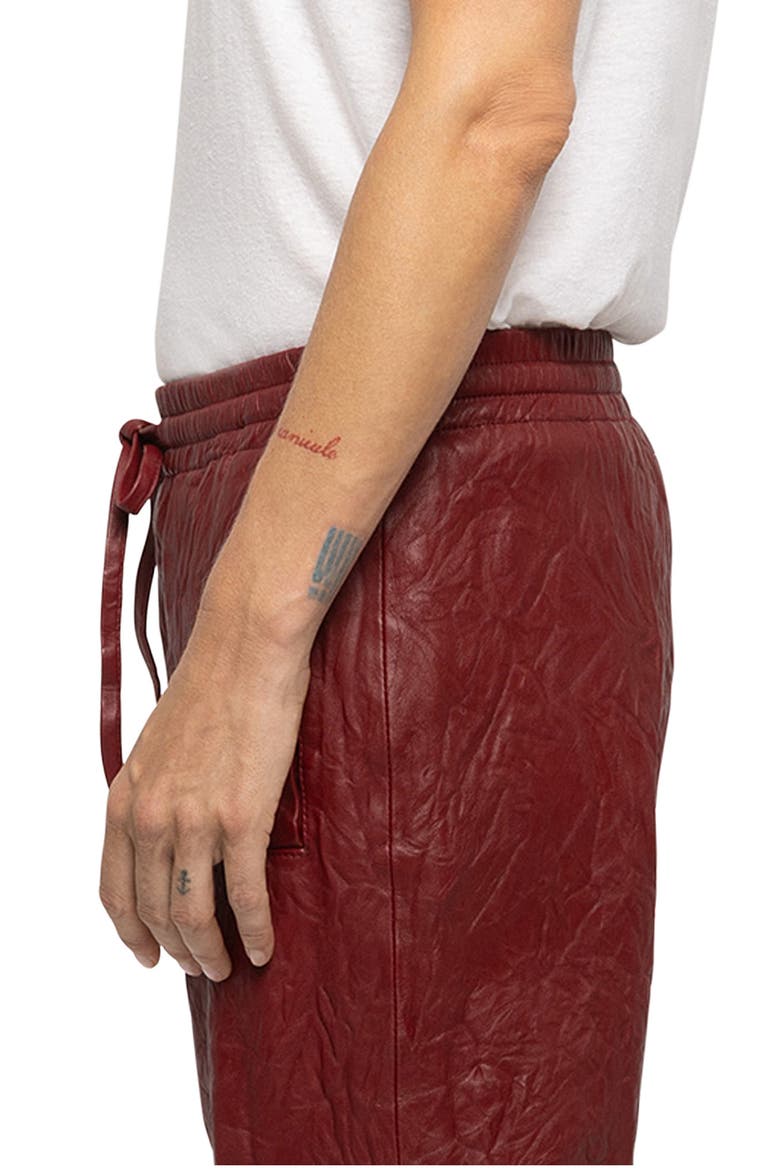 Pocha Crushed Leather Pants, Alternate, color, CHERRY