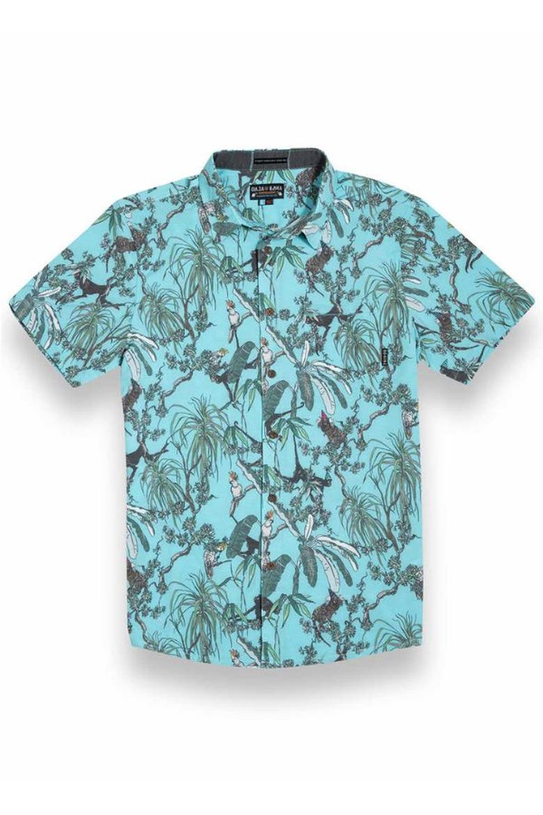 ON OUR WAY UP - VAGABOND BUTTON UP, Main, color, Green