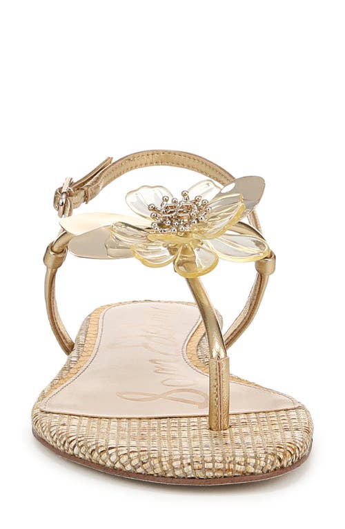 SAM EDELMAN SAM EDELMAN EDEN SLINGBACK SANDAL