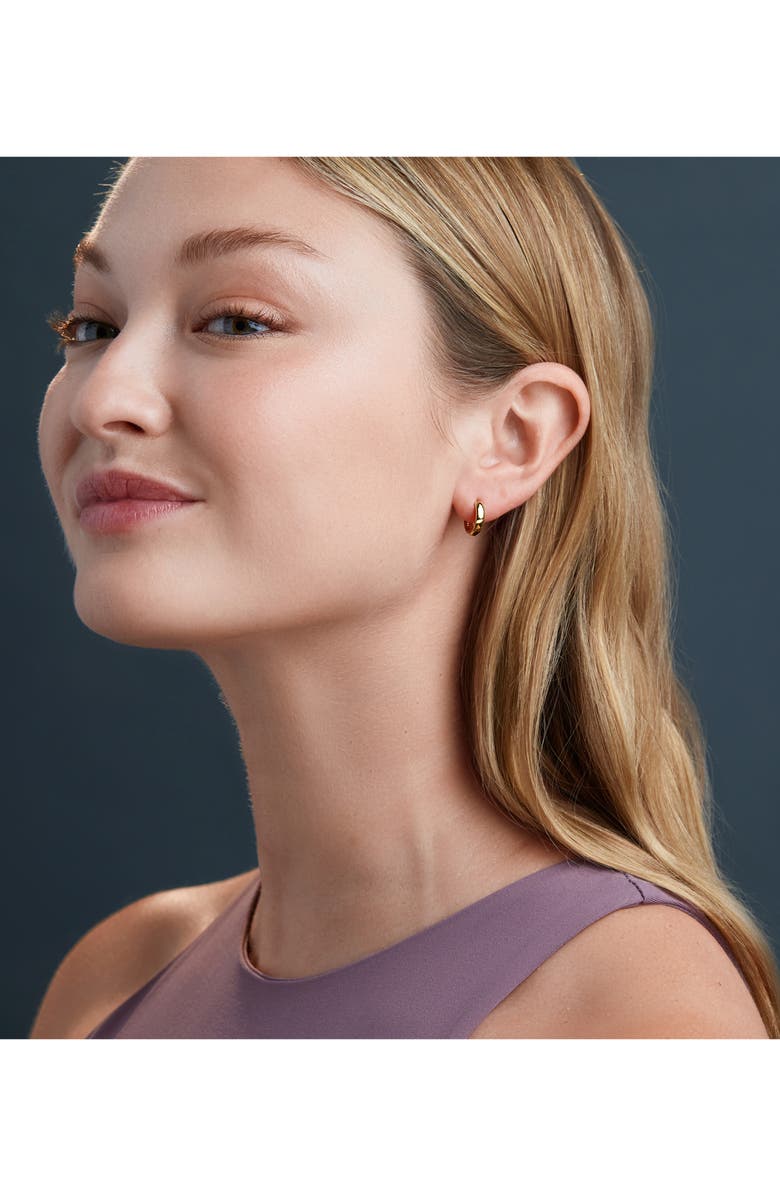 Bony Levy 14K Gold Smooth Hoop Earrings, Alternate, color,