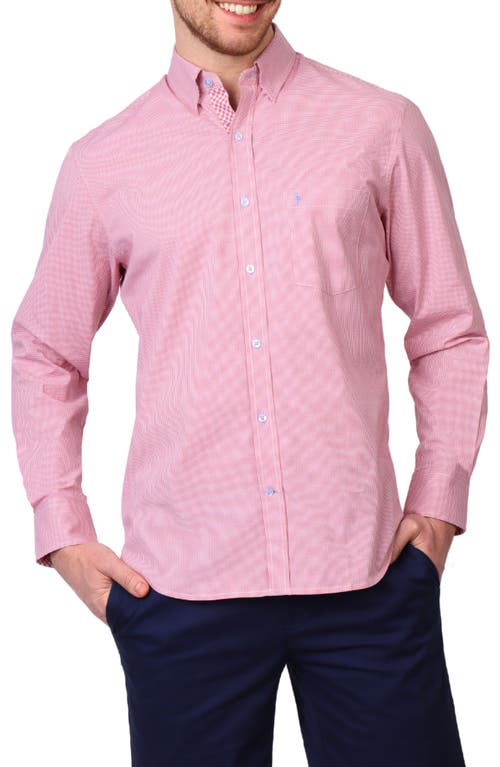 TAILORBYRD TAILORBYRD MICRO GINGHAM STRETCH COTTON BUTTON-UP SHIRT 