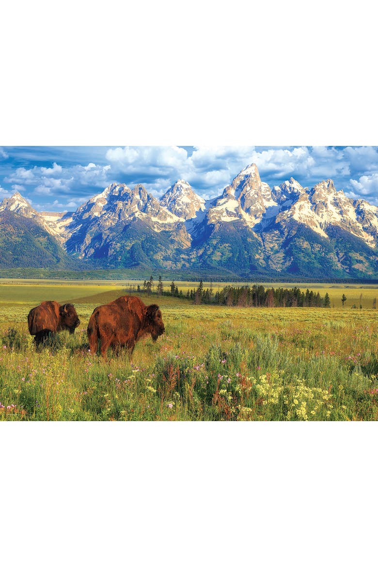 Grand Teton National Park Puzzle, 1000 Pieces, Alternate, color, Multicolored