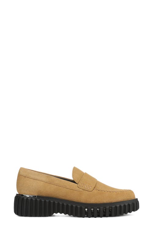Franco Sarto Flx Roma Platform Loafer In Brown