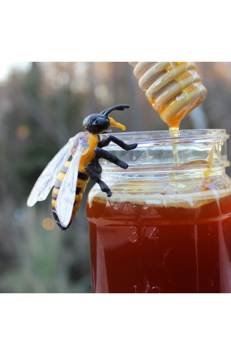 Safari Ltd. Life Cycle Of A Honey Bee, Alternate, color, NO COLOR