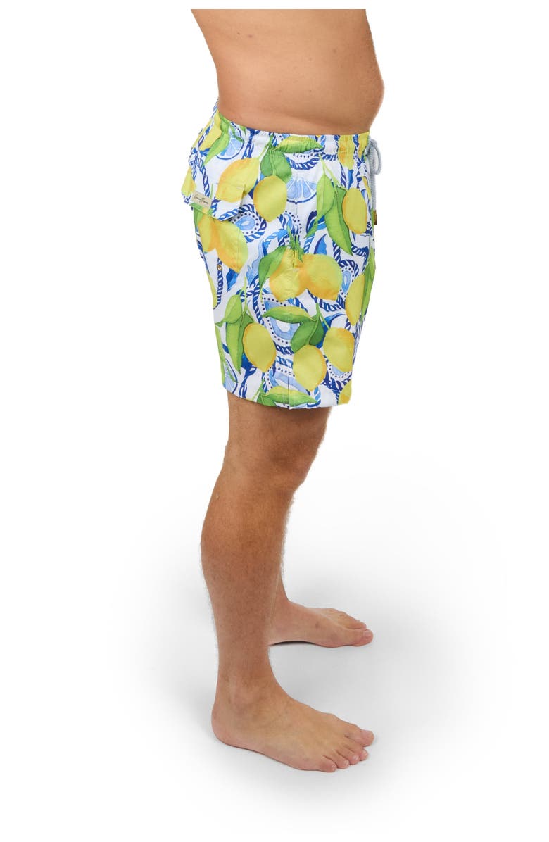 Kenny Flowers The Bossitano - Swim Trunks, Alternate, color, 