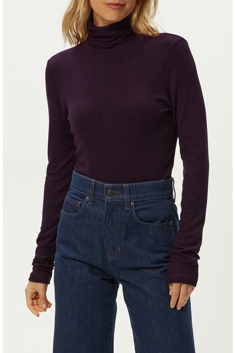 Tara Rib Turtleneck, Alternate, color, GLIMMER