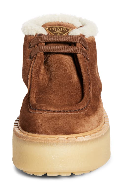 Prada Genuine Shearling Derby Bootie