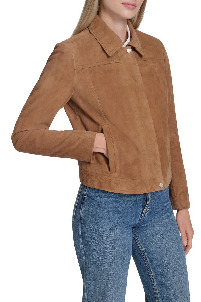 Suede Jacket, Alternate, color, HAZLENUT