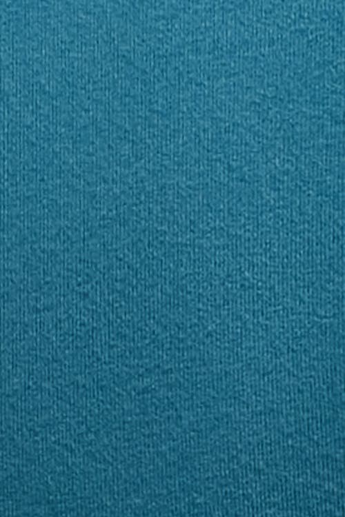 Peloton Active Brushed Jersey Long Sleeve In Blue