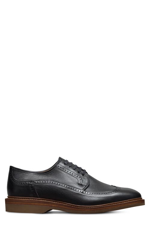 Allen Edmonds Winston Verse Wingtip Brogue Oxford