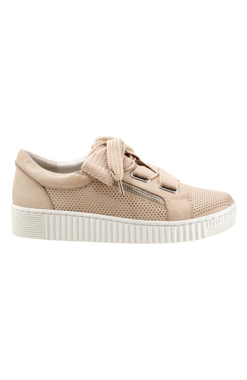 Eos Footwear Jovi Perforated Leather Sneaker In Birch