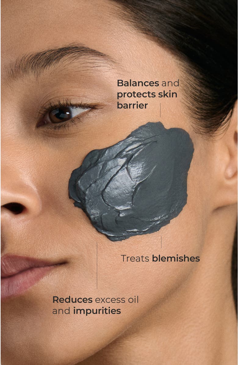 Borghese Fango Purificante Purifying Mud for Face and Body, Alternate, color, Na