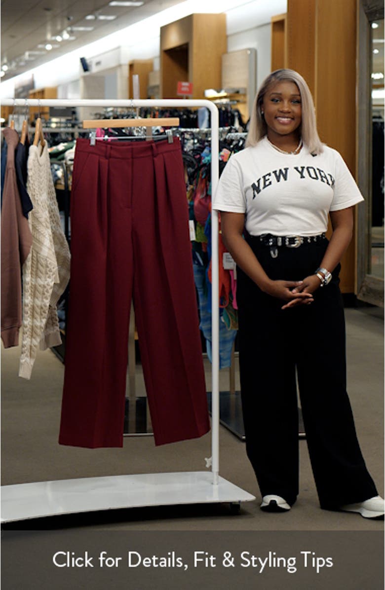 Pleated High Waist Wide Leg Pants, sales video thumbnail