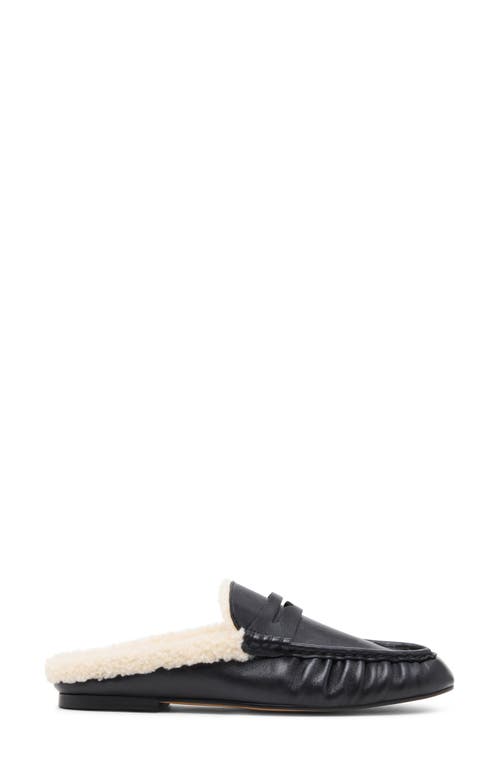 Steve Madden Rafe Genuine Shearling Mule In Black