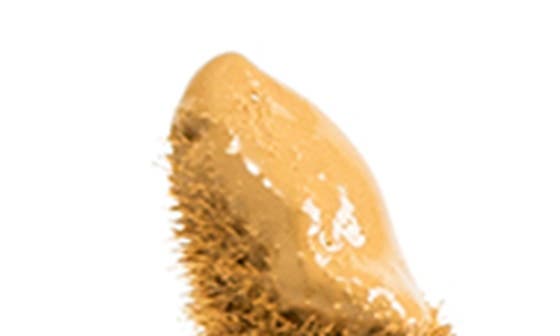 OSIER