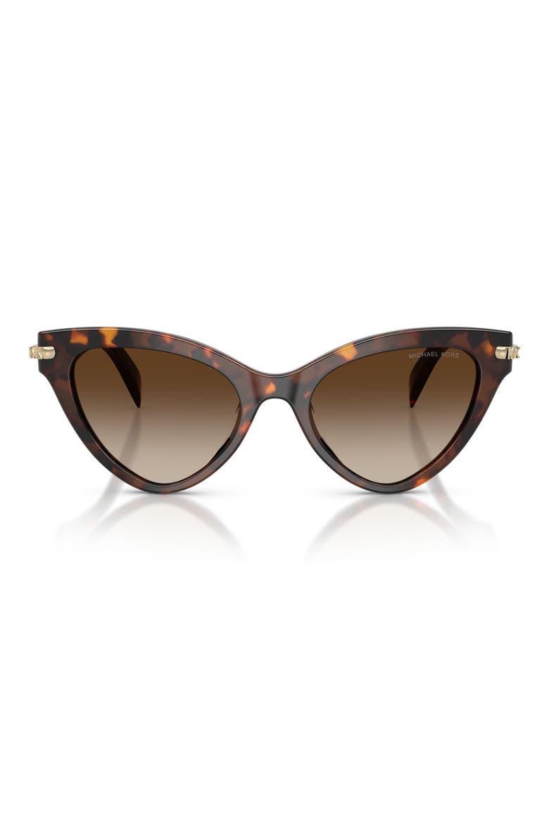 Roanoke 52mm Gradient Cat Eye Sunglasses, Main, color, LUGGAGE TORTOISE / SMOKE