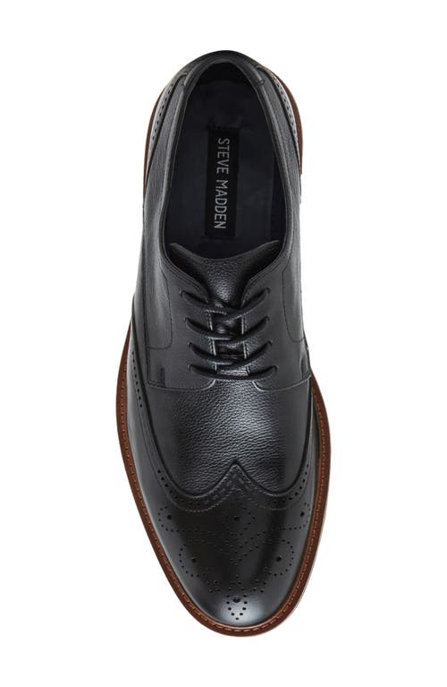Steve Madden Acari Wingtip Derby In Black