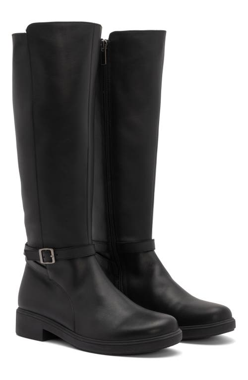 Abeo Compass Tall In Black - Regular