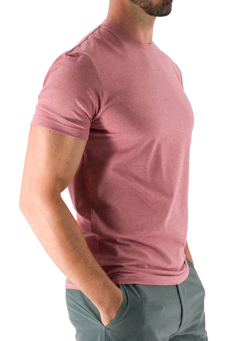 Feeder Stripe T-Shirt, Alternate, color, MELANGE WITHERED ROSE