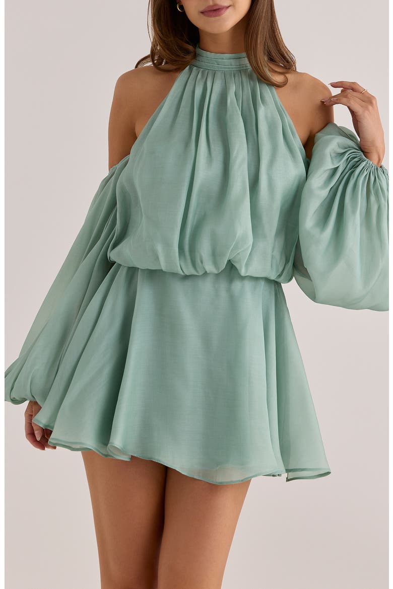 Chantelle Jade Appliqué Organza Gown, Alternate, color, JADE