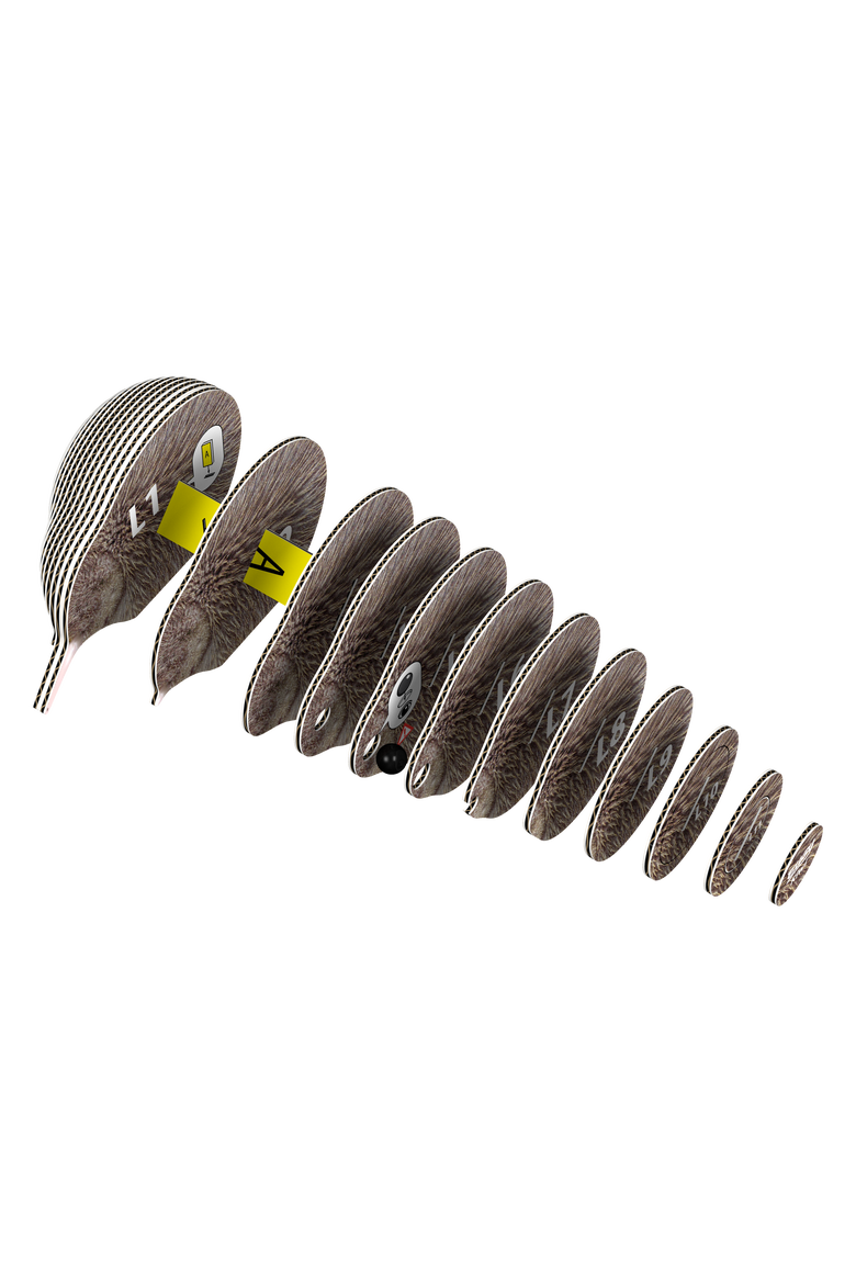 Kiwi 3D Puzzle, Alternate, color, No Color