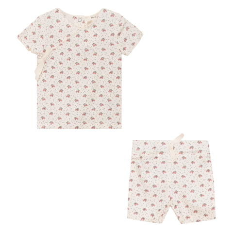 Fruit Print 2 Piece Short Sleeve Top and Shorts Set (Toddler)