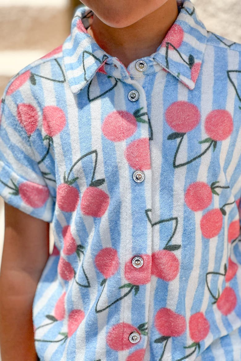 Dakota Cotton Boxy Buttondown, Alternate, color, Blue Stripe
