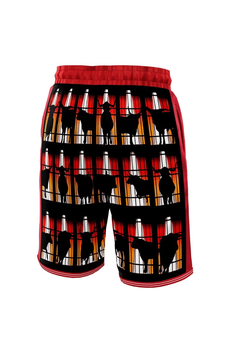 NBA X KIDSUPER Unisex NBA & KidSuper Studios by Fanatics Red Chicago Bulls Hometown Shorts, Alternate, color, Red