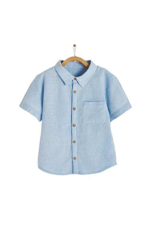 Babycottons Celebration Shirt In Pastel Blue