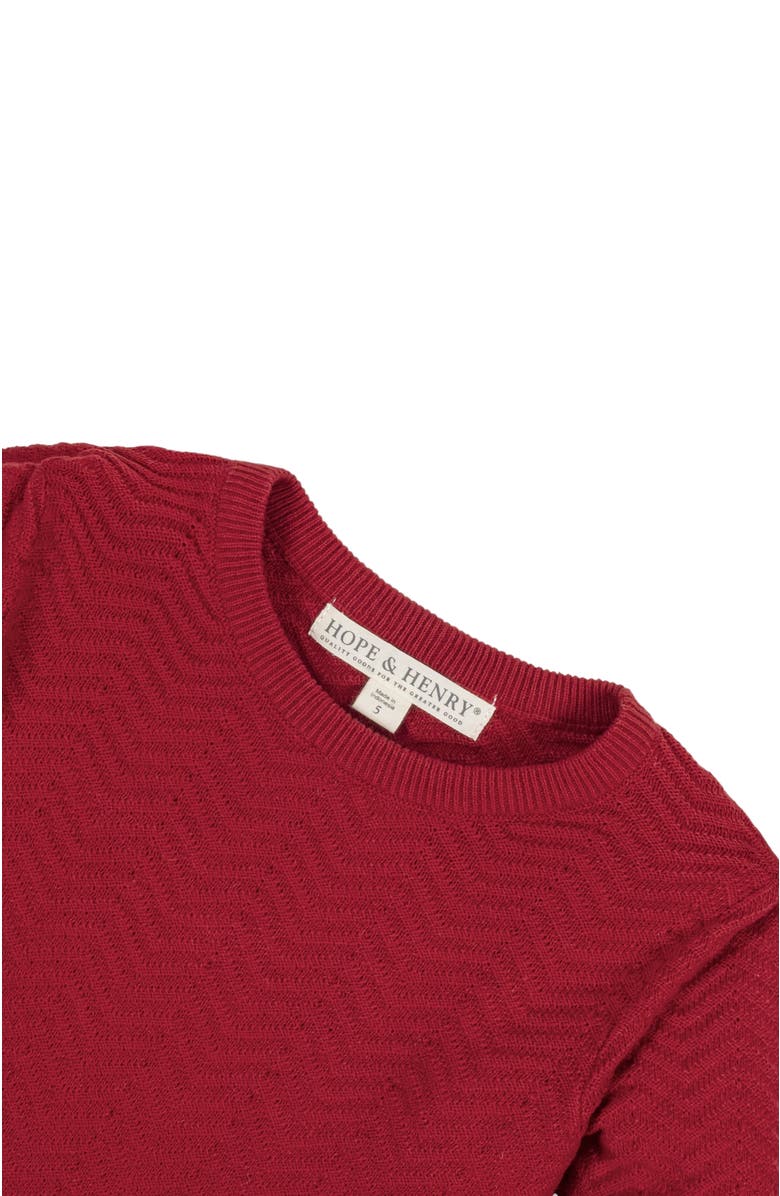 Hope & Henry Baby Girls' Organic Balloon Sleeve Sweater Dress, Infant, Alternate, color, Red Chevron
