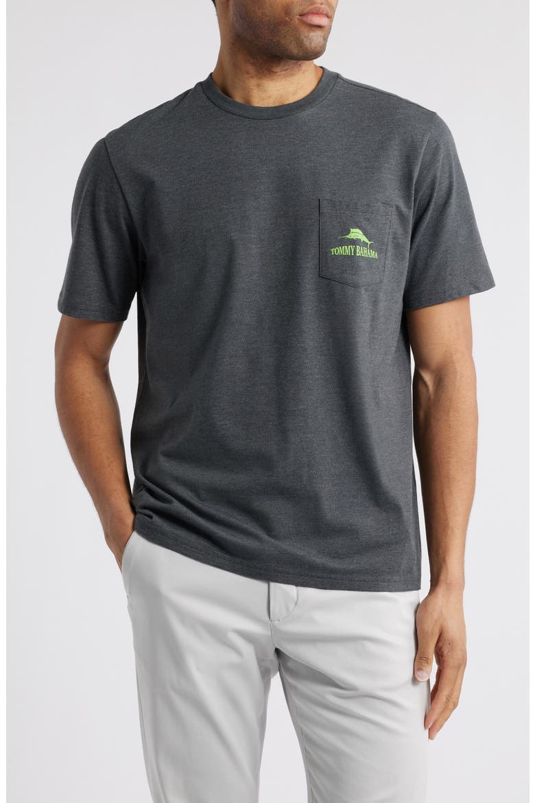 Wags to Riches Graphic Pocket T-Shirt, Main, color, COAL HEATHER