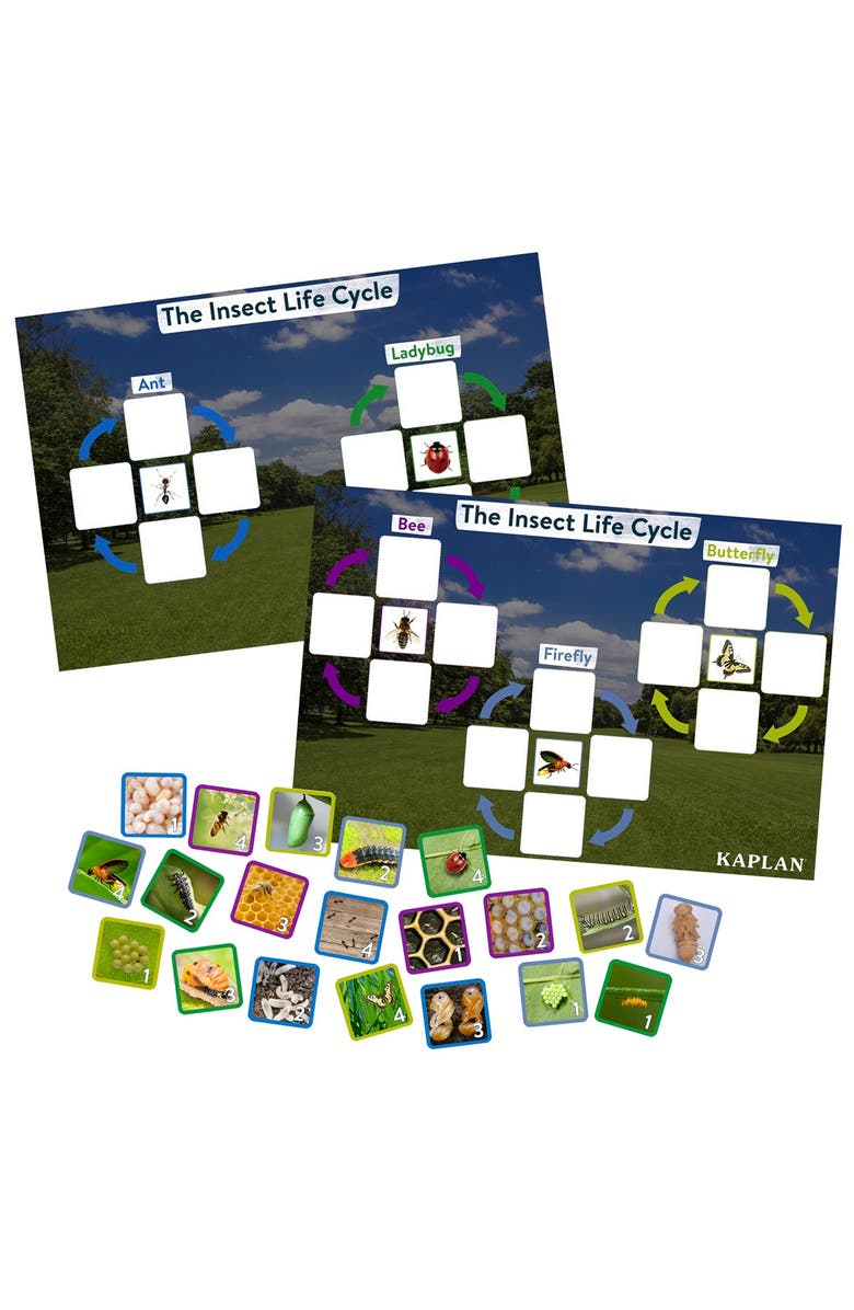 Kaplan Early Learning Company Insect Life Cycle Game - Investigate Bees, Ants, Butterfly and Firefly, Main, color, Multicolor