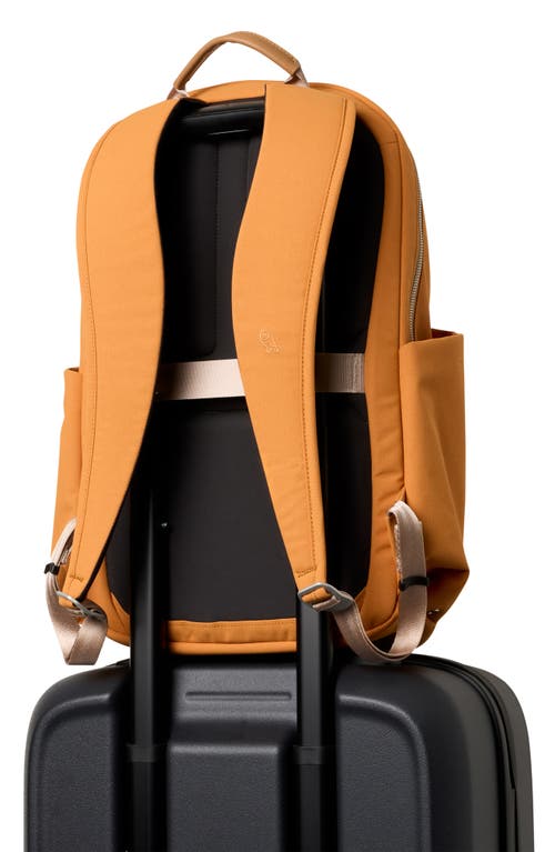 Bellroy Classic Water Resistant 20l Backpack In Orange