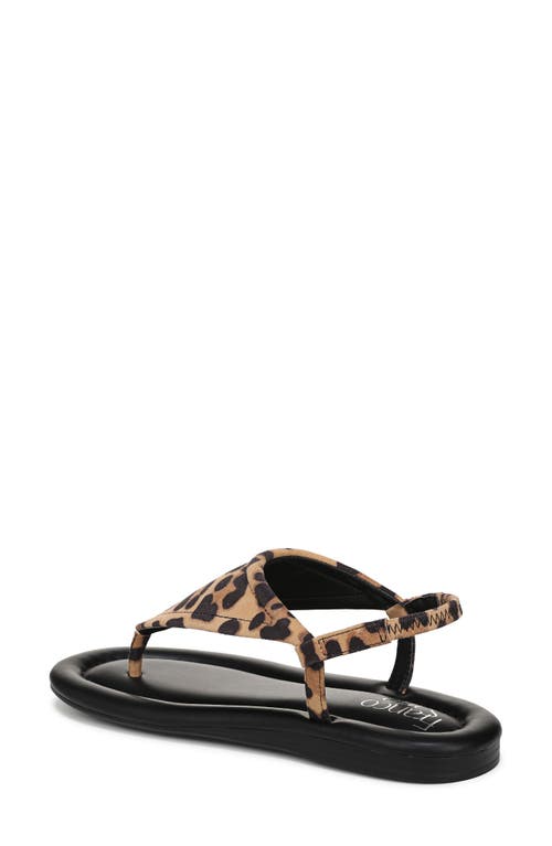 Franco Sarto Jocelyn Leopard Print Sandal In Brown