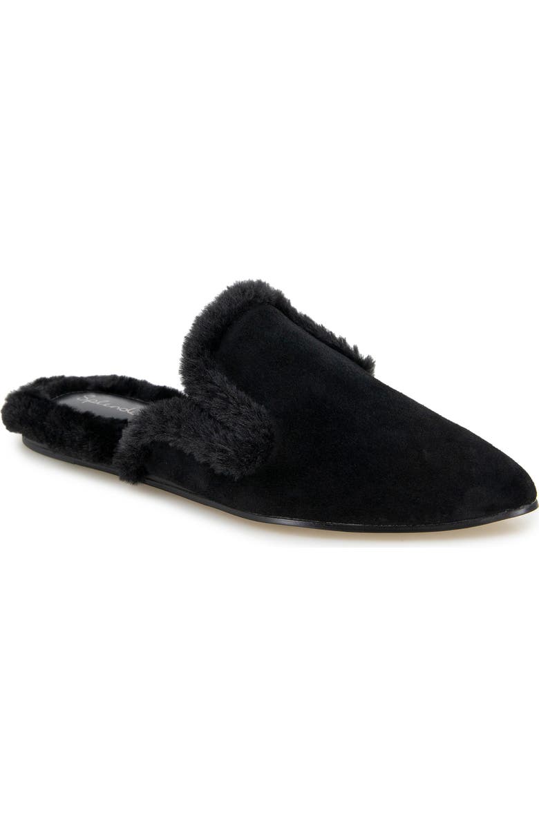 Splendid Liza Pointed Toe Mule, Main, color, Black Fur