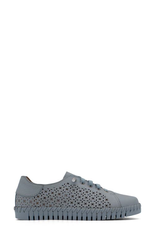 Bottero Bottwister Sport Sneaker