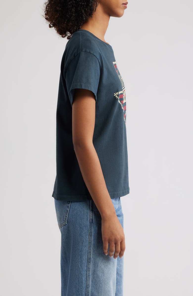 Daydreamer Willie Nelson Texas Stripe Cotton Graphic T-Shirt, Alternate, color, Vintage Black