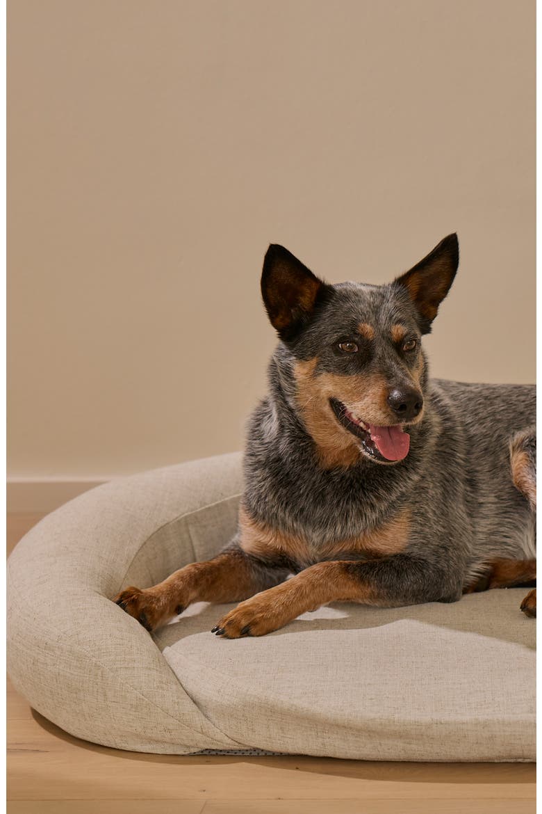 Infrared PEMF Pet Bed, Alternate, color, GREY