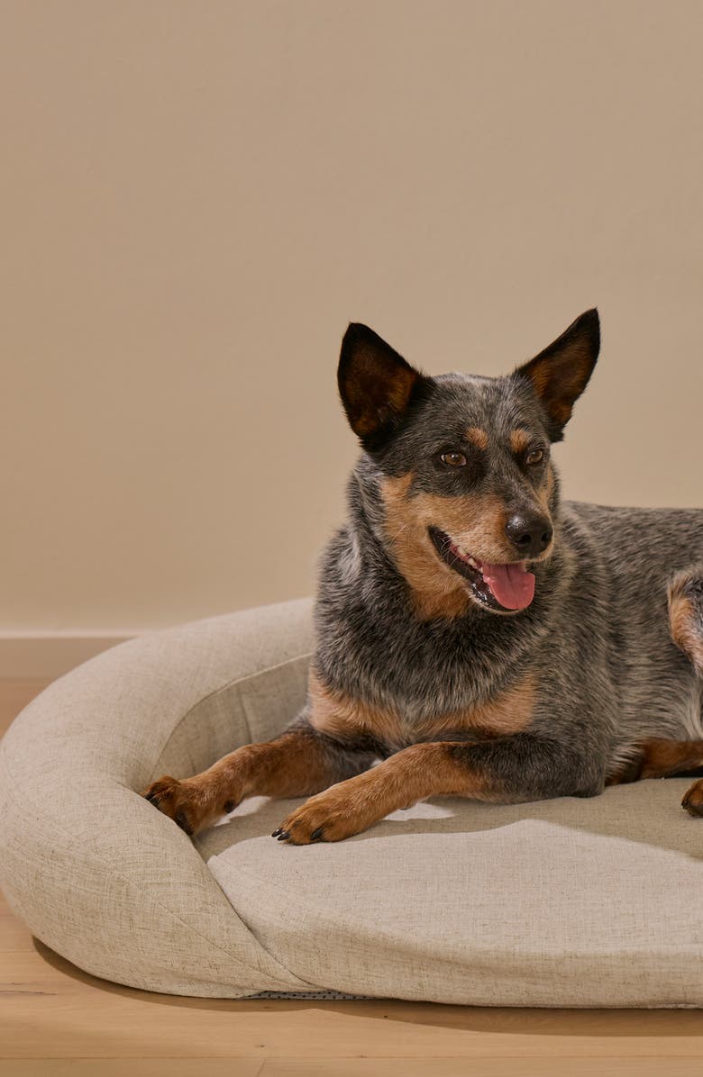 HigherDOSE Infrared PEMF Pet Bed, Alternate, color, 