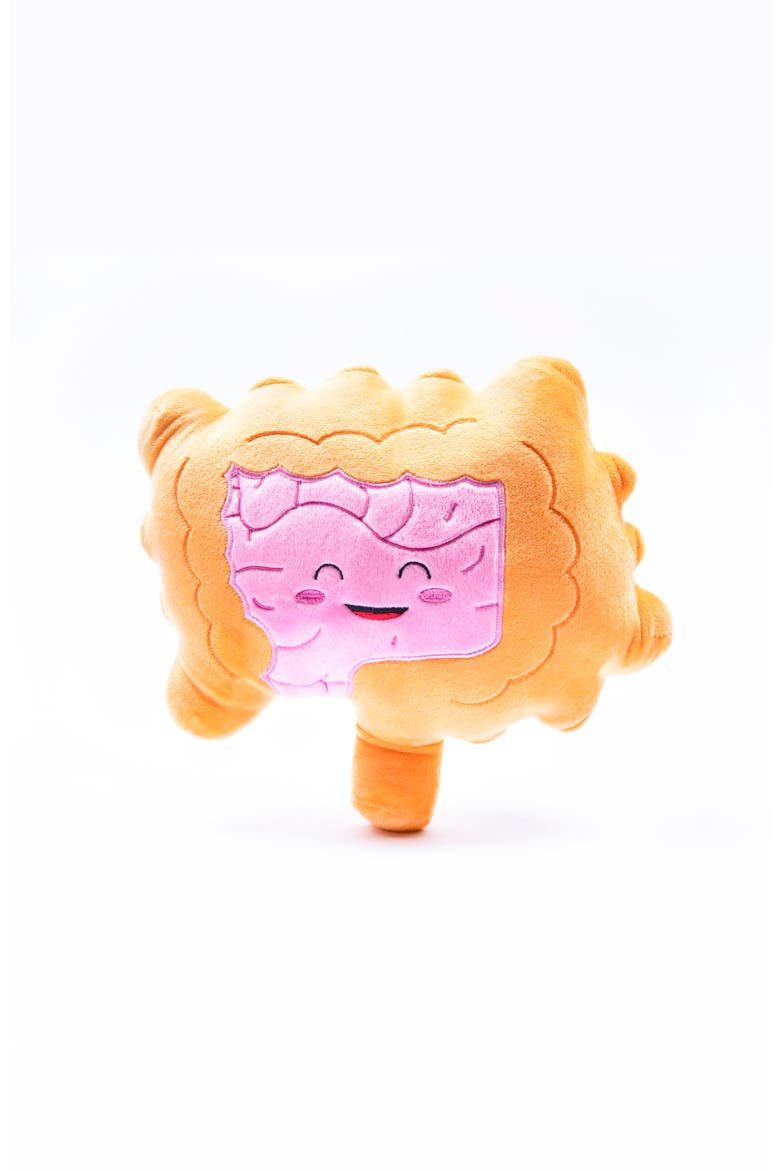 Colon/Intestine Plushie Organ, Main, color, Light/Pastel Orange
