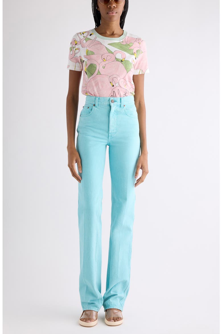 Flamingo Print Jersey Ringer T-Shirt (Women) | Nordstrom