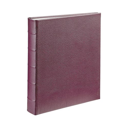 Large 3-Ring Clear Pocket Album