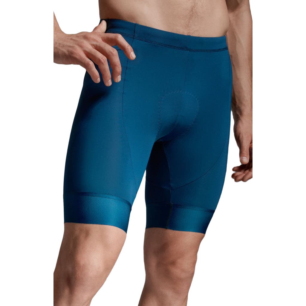 2xu Aero Tri 9 Inch Short In Blue