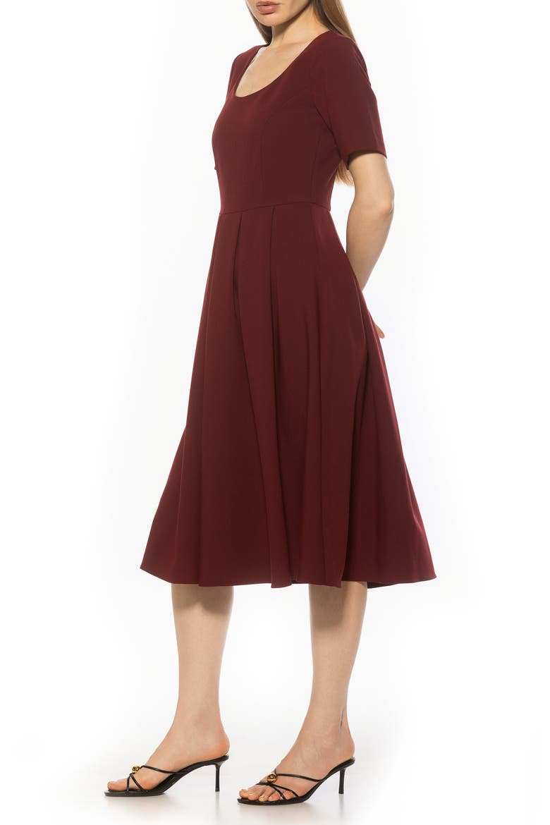 Imani Pleated Short Sleeve Dress, Alternate, color, BURGUNDY