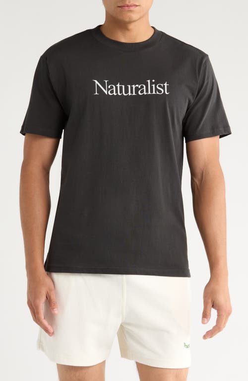 Museum of Peace & Quiet Naturalist Graphic T-Shirt in Black  product